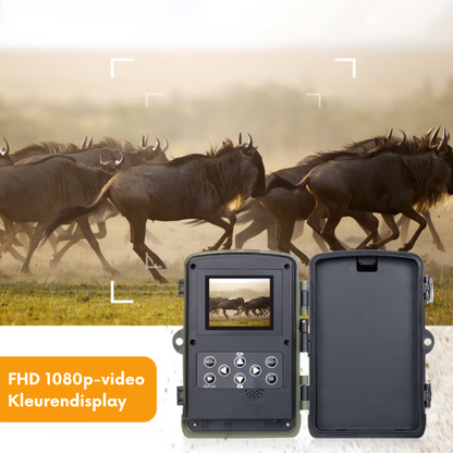 HD Nachtzicht jachtcamera met scherm en batterij
