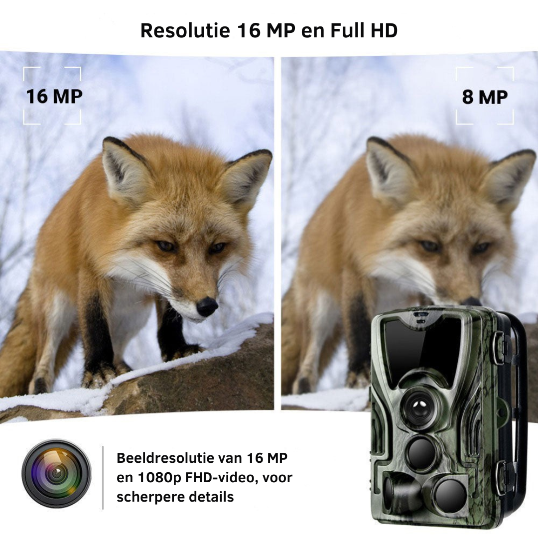 HD Nachtzicht jachtcamera met scherm en batterij
